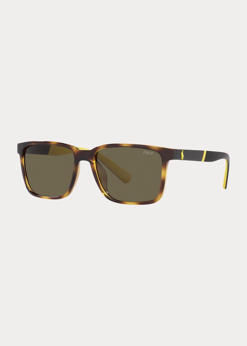 Gafas Polo Ralph Lauren Hombre Colour-Blocked Fluted Chile Marrones CALPQ-8475